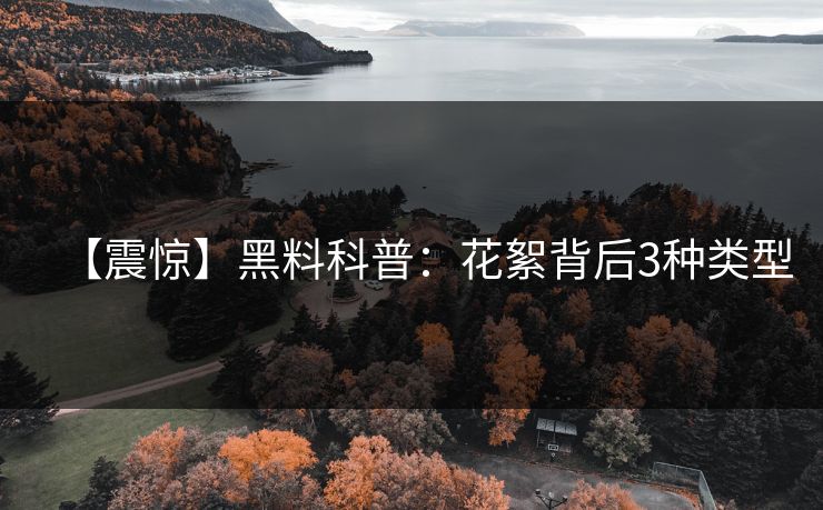 【震惊】黑料科普：花絮背后3种类型